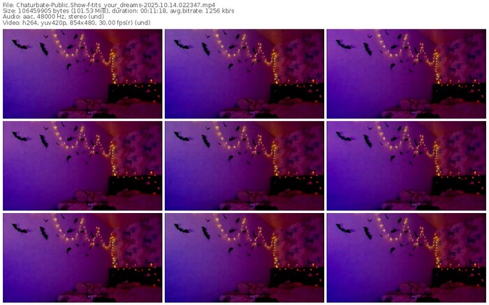 chaturbate-tits_your_dreams-10-14-2025-02-23-47