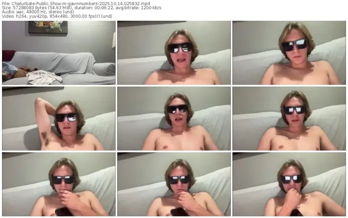 chaturbate-gavinnumbers-10-14-2025-02-58-32