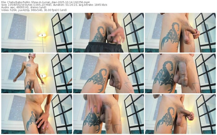 chaturbate-lucian_davi-10-14-2025-19-22-56