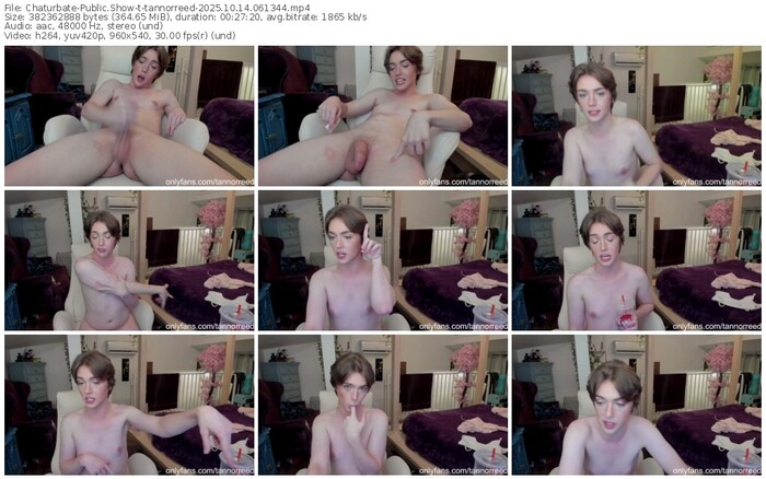 chaturbate-tannorreed-10-14-2025-06-13-44