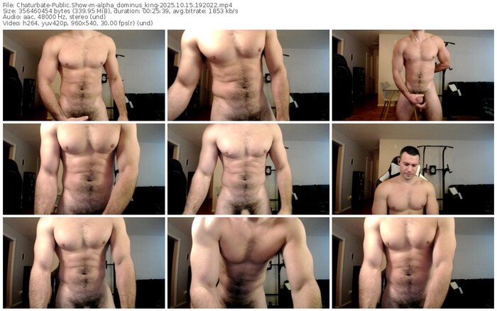 chaturbate-alpha_dominus_king-10-15-2025-19-20-22