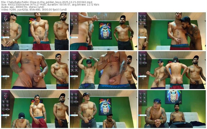 chaturbate-the_golden_boys-10-15-2025-03-33-42