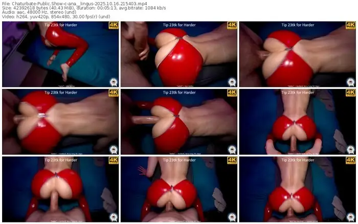 chaturbate-ana__lingus-10-16-2025-21-54-03