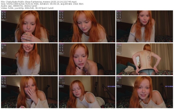 chaturbate-artemisa_meows-10-16-2025-22-17-45