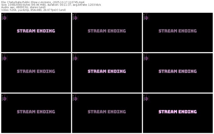 chaturbate-minions_-10-17-2025-11-07-45