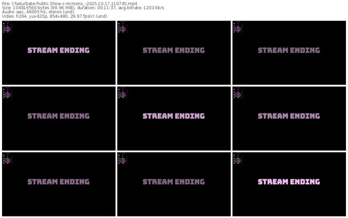 chaturbate-minions_-10-17-2025-11-07-45