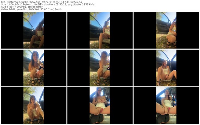 chaturbate-lib_ertine32-10-17-2025-11-36-05