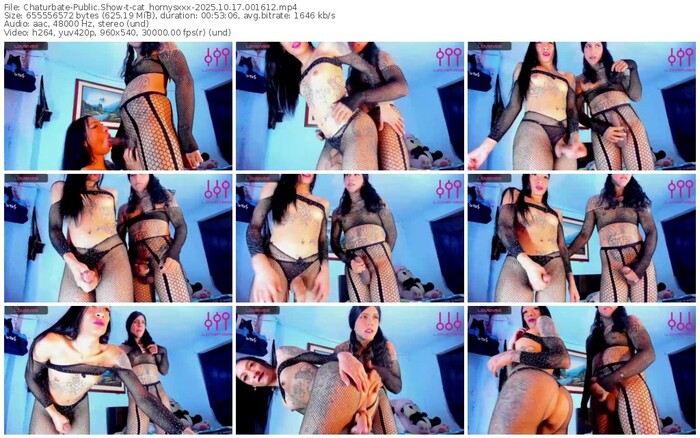 chaturbate-cat_hornysxxx-10-17-2025-00-16-12
