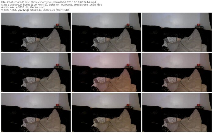 chaturbate-hornycoupleuk666-10-18-2025-00-24-44