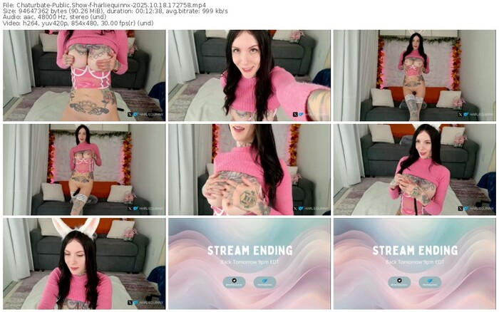 chaturbate-harliequinnx-10-18-2025-17-27-58
