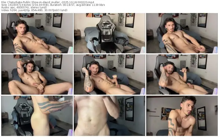 chaturbate-david_muller_-10-18-2025-00-02-23