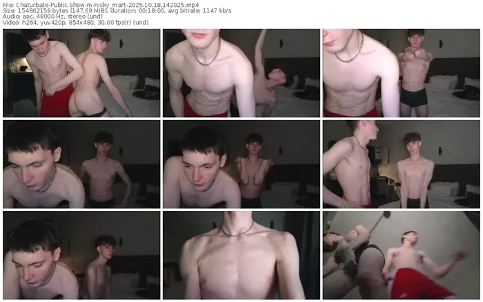 chaturbate-nicky_mart-10-18-2025-14-29-25