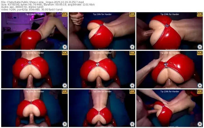 chaturbate-ana__lingus-10-19-2025-21-25-17