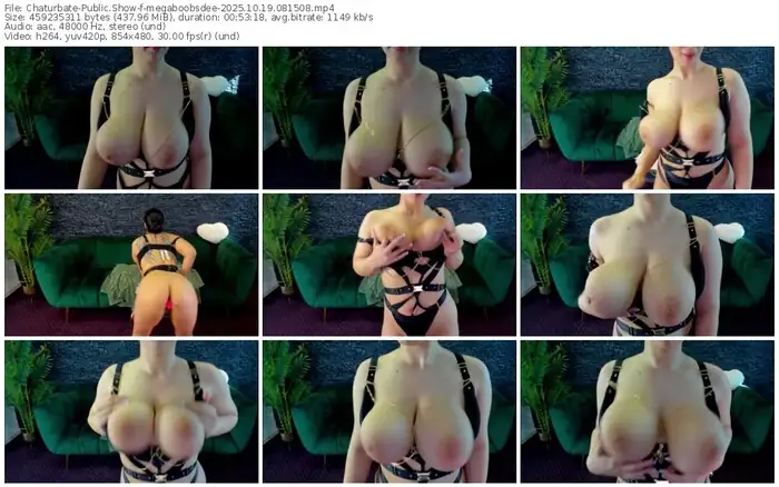 chaturbate-megaboobsdee-10-19-2025-08-15-08