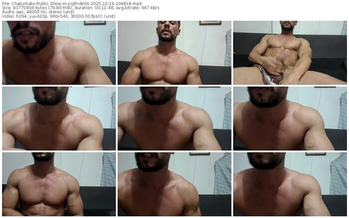chaturbate-zigfrid666-10-19-2025-20-48-18
