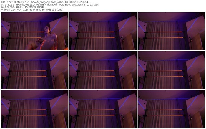 chaturbate-_meganmeow_-10-20-2025-02-51-22