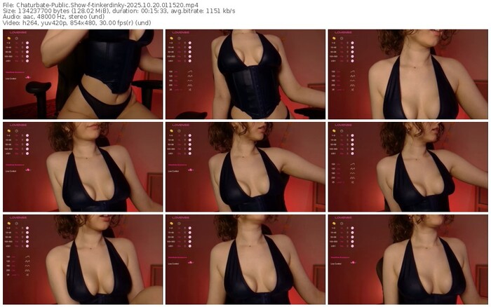 chaturbate-tinkerdinky-10-20-2025-01-15-20