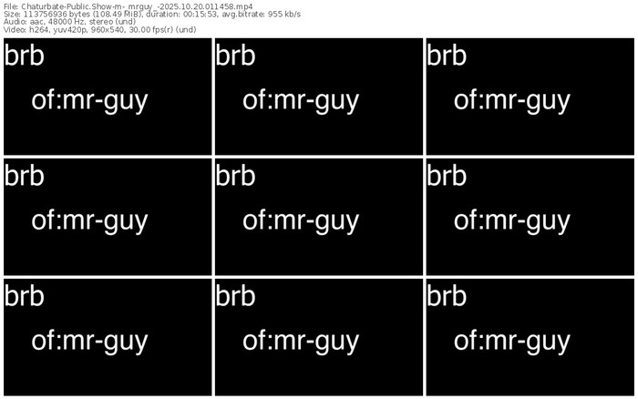 chaturbate-_mrguy_-10-20-2025-01-14-58