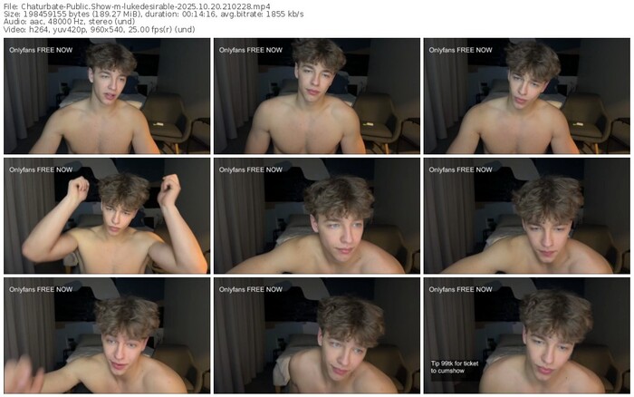 chaturbate-lukedesirable-10-20-2025-21-02-28