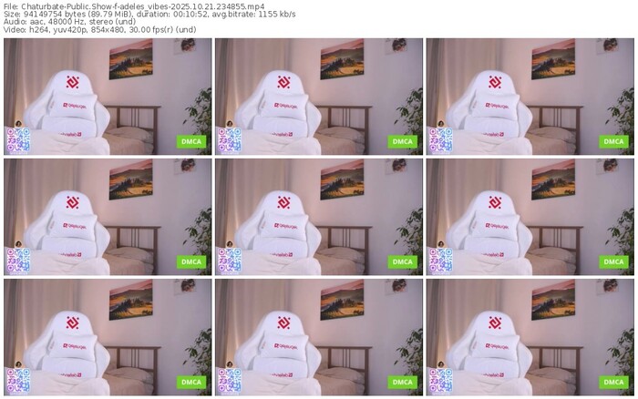 chaturbate-adeles_vibes-10-21-2025-23-48-55