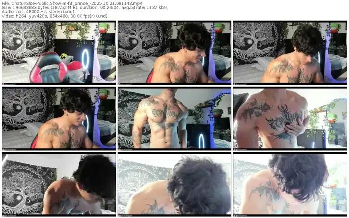 chaturbate-fit_prince_-10-21-2025-08-11-43