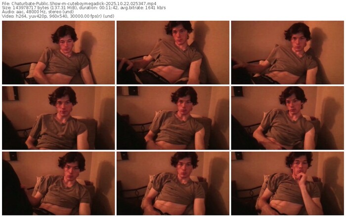 chaturbate-cuteboymegadick-10-22-2025-02-53-47