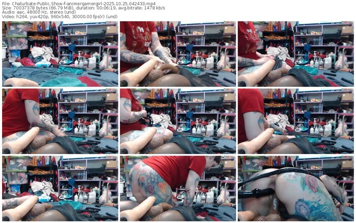 chaturbate-animergamergirl-10-25-2025-04-24-33