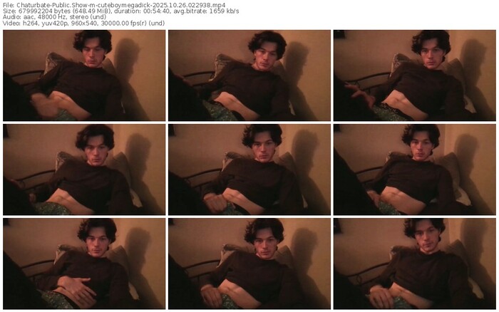 chaturbate-cuteboymegadick-10-26-2025-02-29-38
