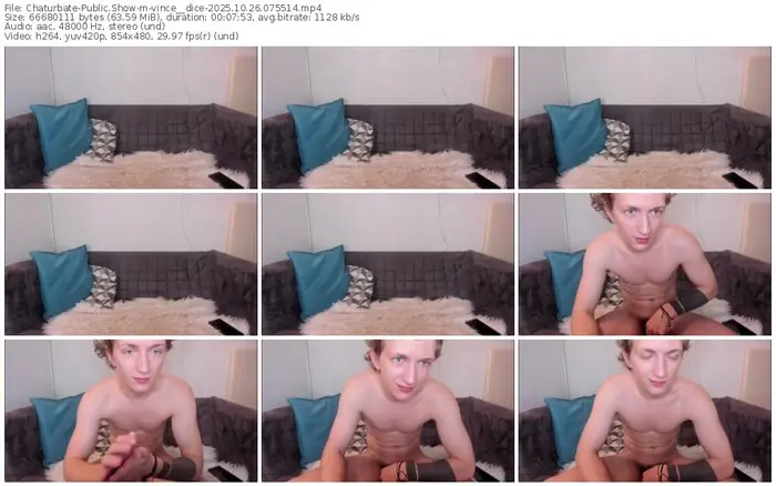 chaturbate-vince__dice-10-26-2025-07-55-14