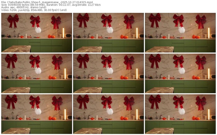 chaturbate-_meganmeow_-10-27-2025-01-43-15