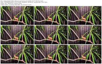 chaturbate-aronyou_win-10-27-2025-18-17-41