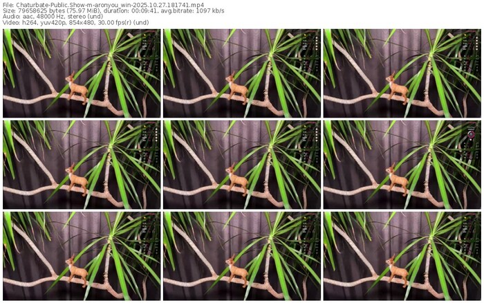 chaturbate-aronyou_win-10-27-2025-18-17-41