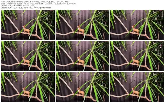 chaturbate-aronyou_win-10-27-2025-18-17-41