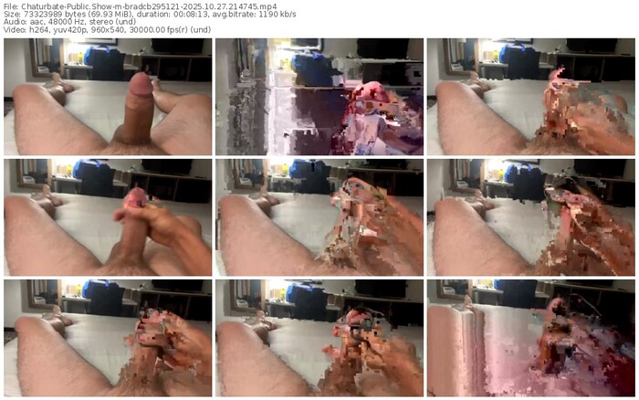 chaturbate-bradcb295121-10-27-2025-21-47-45