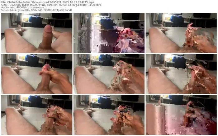 chaturbate-bradcb295121-10-27-2025-21-47-45