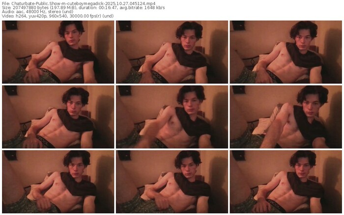 chaturbate-cuteboymegadick-10-27-2025-04-51-24