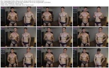 chaturbate-nik_sharp-10-27-2025-20-44-22