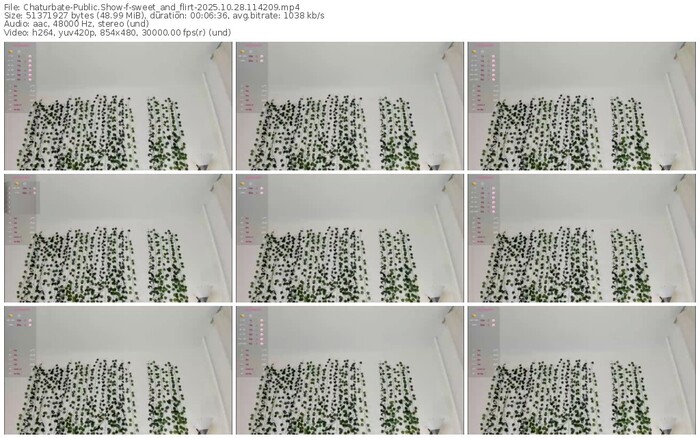 chaturbate-sweet_and_flirt-10-28-2025-11-42-09