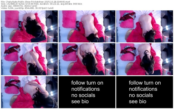 chaturbate-ticketshow-10-28-2025-03-46-40