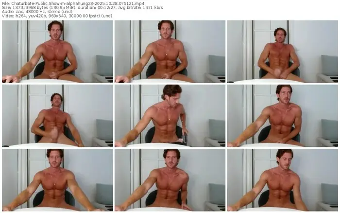 chaturbate-alphahung23-10-28-2025-07-51-21