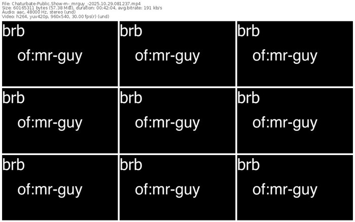 chaturbate-_mrguy_-10-29-2025-08-12-37