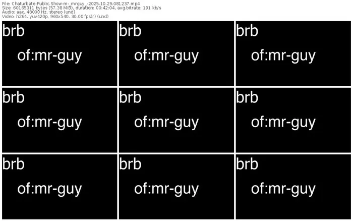 chaturbate-_mrguy_-10-29-2025-08-12-37