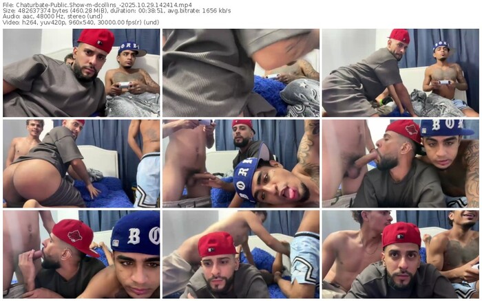 chaturbate-dcollins_-10-29-2025-14-24-14