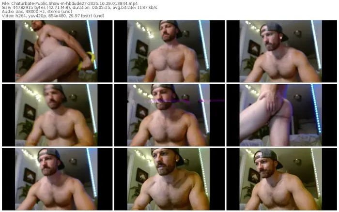 chaturbate-hbdude27-10-29-2025-01-38-44