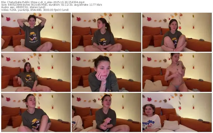 chaturbate-di_n_alex-10-30-2025-15-43-34
