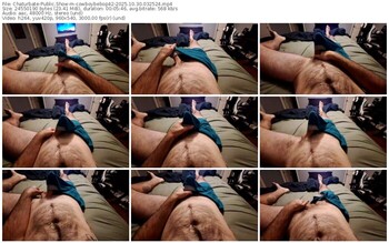 chaturbate-cowboybebop42-10-30-2025-03-25-24