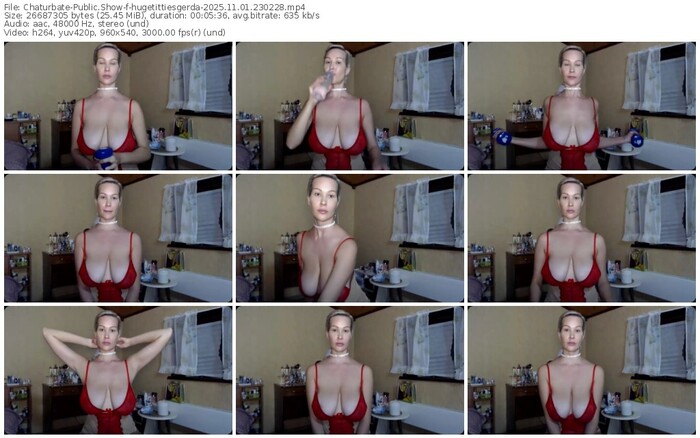 chaturbate-hugetittiesgerda-11-01-2025-23-02-28