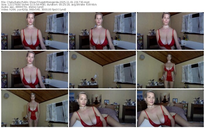 chaturbate-hugetittiesgerda-11-01-2025-23-17-30