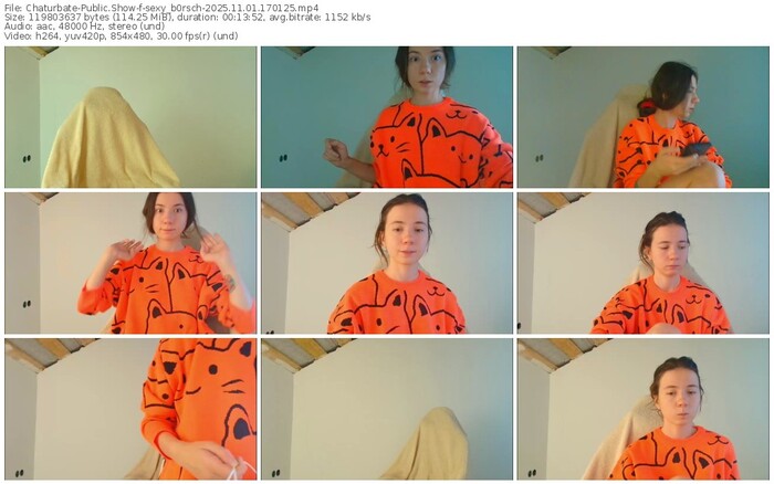 chaturbate-sexy_b0rsch-11-01-2025-17-01-25