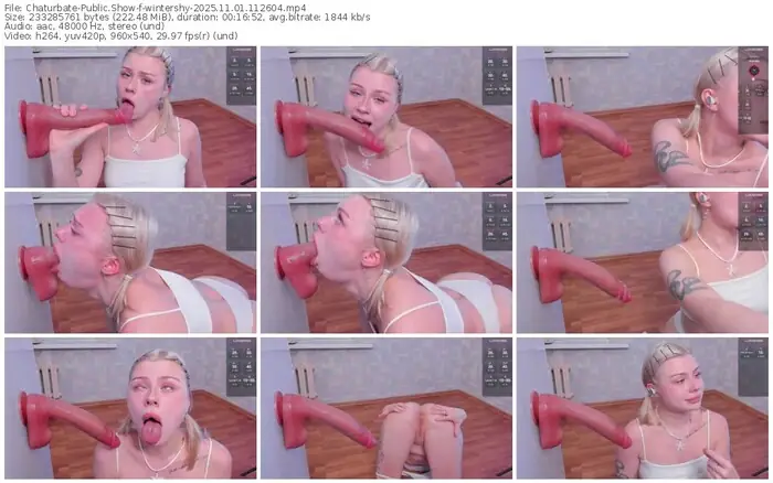 chaturbate-wintershy-11-01-2025-11-26-04
